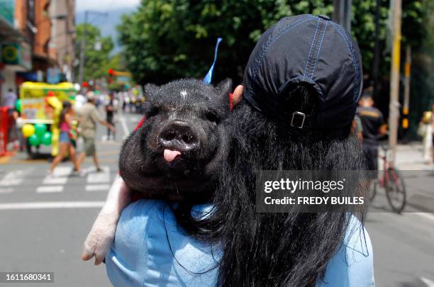 Woman carries a pig during the celebration of World Day of Laziness in Itagui, Colombia, on August 20, 2023.
