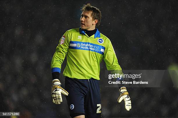 Tomasz Kuszczak of Brighton & Hove Albion watches for the ball during the npower Championship match between Brighton & Hove Albion and Hull City at...