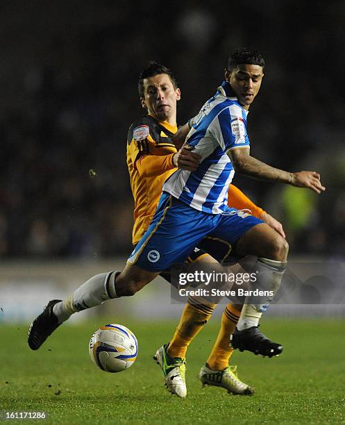 Liam Birdcutt of Brighton & Hove Albion challenges for the ball with Robert Koren of Hull City during the npower Championship match between Brighton...