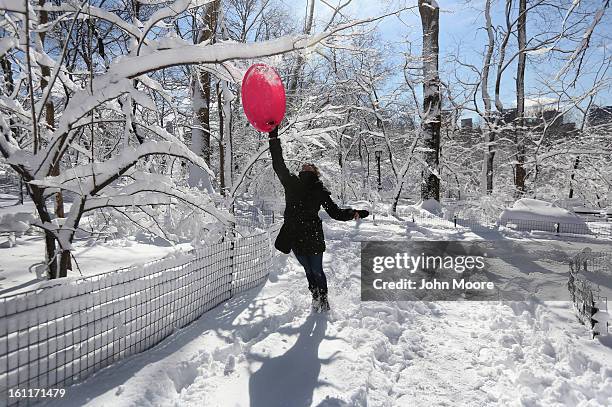 Brooke Linsky knocks a snow-coverd branch in Central Park on February 9, 2013 in New York City. The park received almost a foot of snow, as New York...