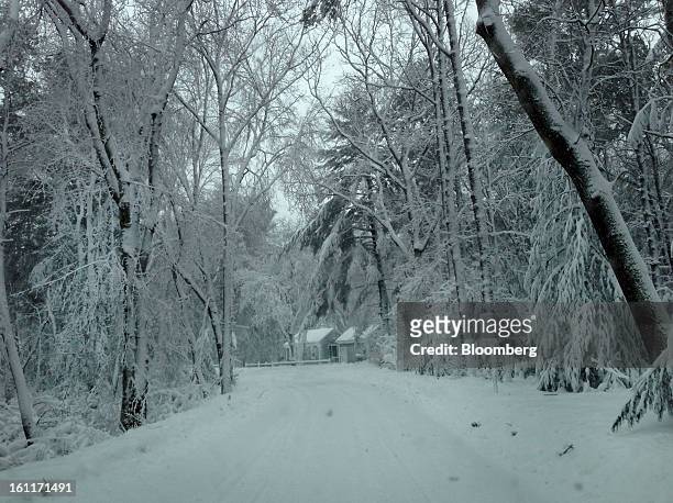 Snow covers the trees and ground in Duxbury, Massachusetts, U.S., on Saturday, Feb. 9, 2013. More than two feet of snow fell on parts of the U.S....