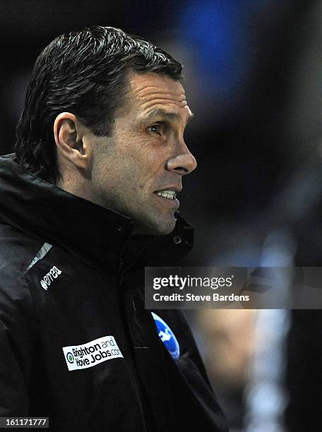 The Brighton & Hove Albion manager Gus Poyet during the npower Championship match between Brighton & Hove Albion and Hull City at Amex Stadium on...