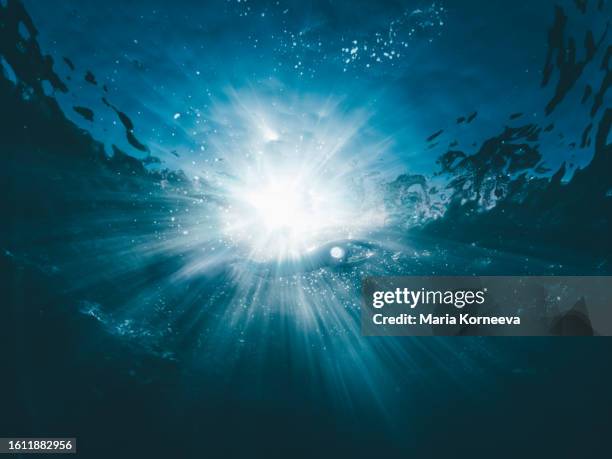 a man swims underwater in the sea with beautiful light. - subacqueo foto e immagini stock