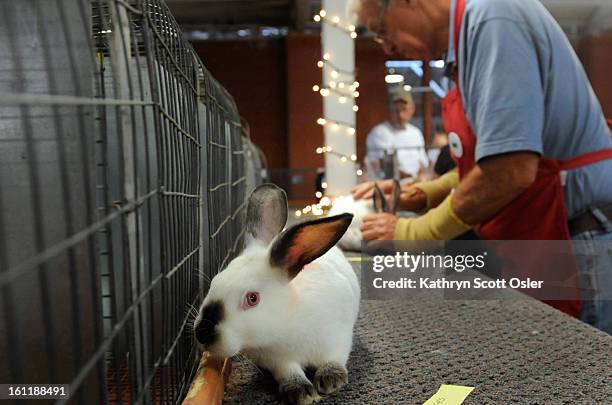 Trausch Photos and Premium High Res Pictures - Getty Images