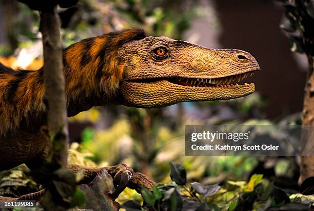 T Rex Raptr 151 Rex Raptor Stock Photos, High-Res Pictures, and Images - Getty Images