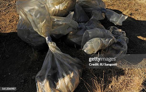 Boiled Rag Oily Rags Photos and Premium High Res Pictures - Getty Images