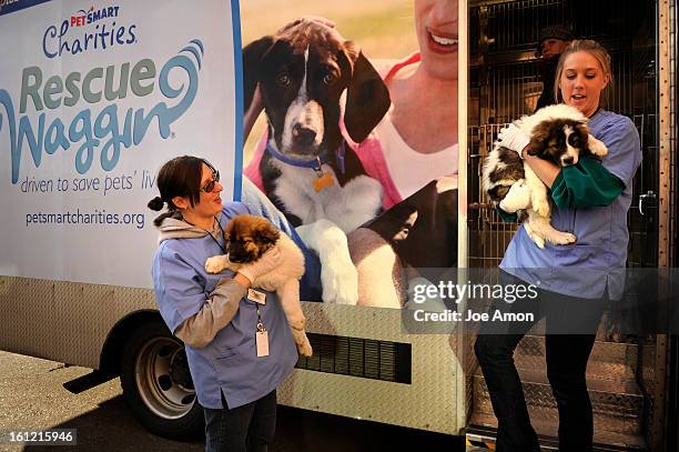 Kim Terlau and Kelly Ross carry Jackpot and Jiggy to their new home in a very large transfer of nearly 70 puppies from the Rescue WagginO, about 12...