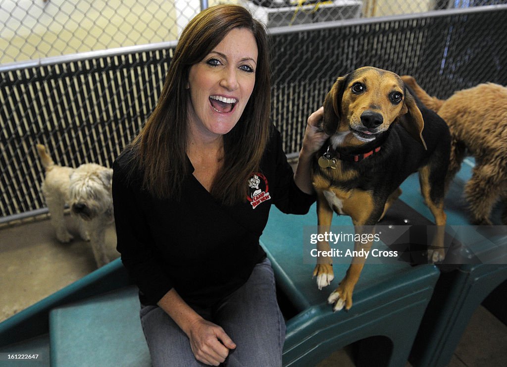 BOULDER, CO-- Heidi Ganahi, founder of Camp Bow Wow at the Camp Bow Wow franchise in Boulder spends time with "Sulley" (right) Thursday afternoon. Andy Cross, The Denver Post