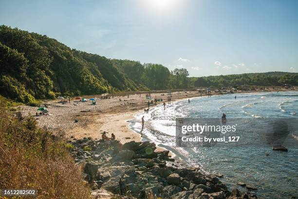 high angle view of a beautiful beach surrounded by forest on a sunny day - bulgarien stock-fotos und bilder