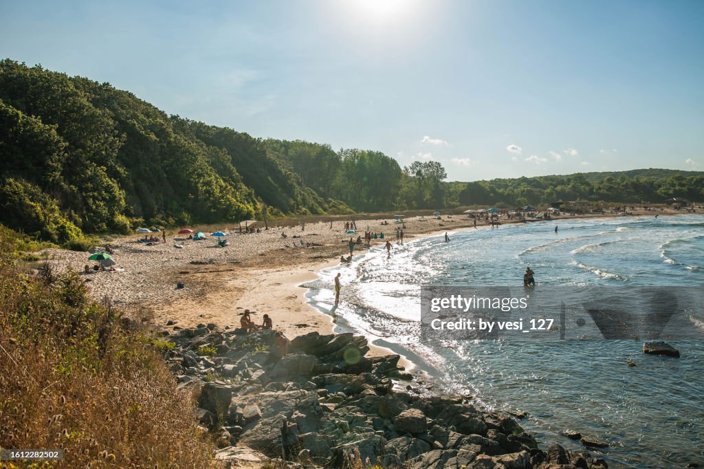 High angle view of a beautiful beach surrounded by forest on a sunny day