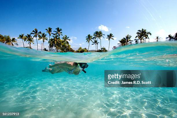 snorkeler - isole hawaii stock pictures, royalty-free photos & images