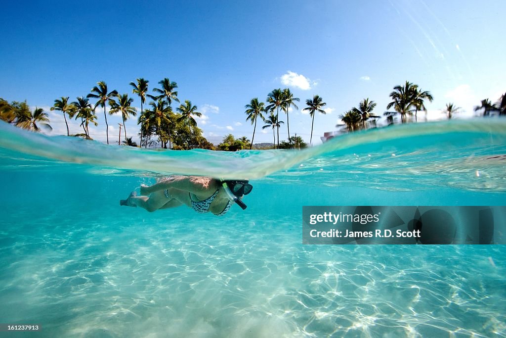 Snorkeler