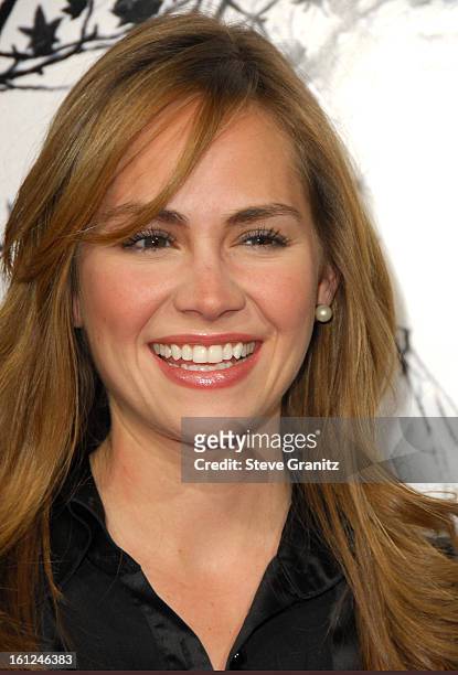 Natalia Livingston during "Premonition" Los Angeles Premiere - Arrivals at Cinerama Dome in Hollywood, California, United States.
