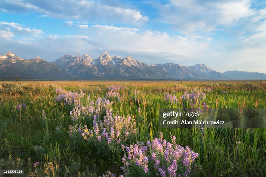 Grand Teton National Park