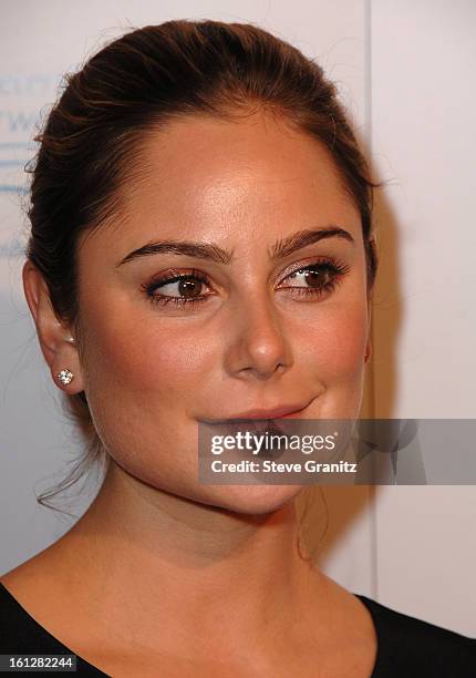 Actress Amanda Brooks arrives for the Los Angeles Premiere of " Grace Is Gone " at the Academy of Motion Picture Arts and Sciences on November 28,...