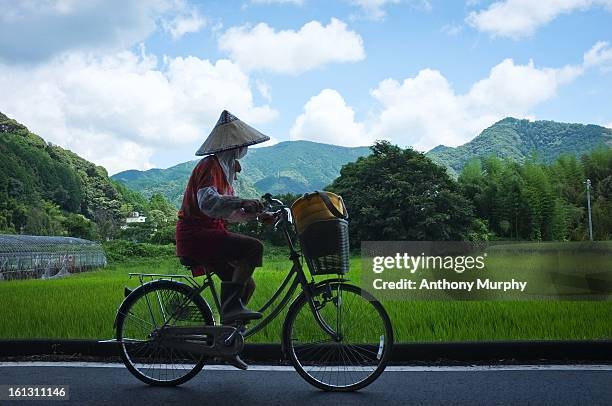 japanese rice farmer - straw hat stock pictures, royalty-free photos & images
