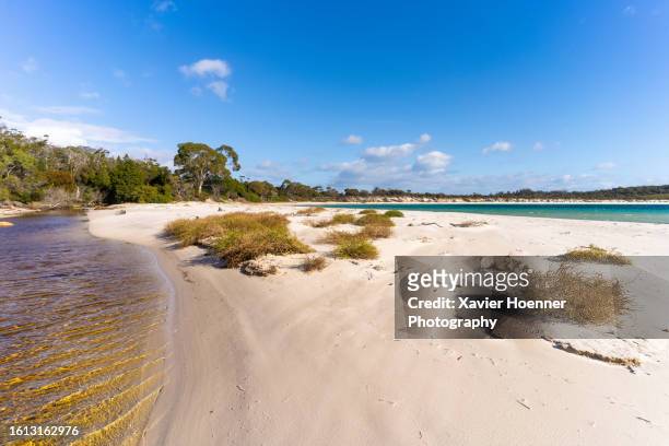 tannin-stained creek and wineglass bay - wineglass bay stock pictures, royalty-free photos & images