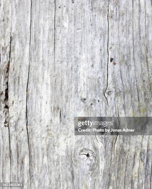 old wood texture background - drijfhout stockfoto's en -beelden