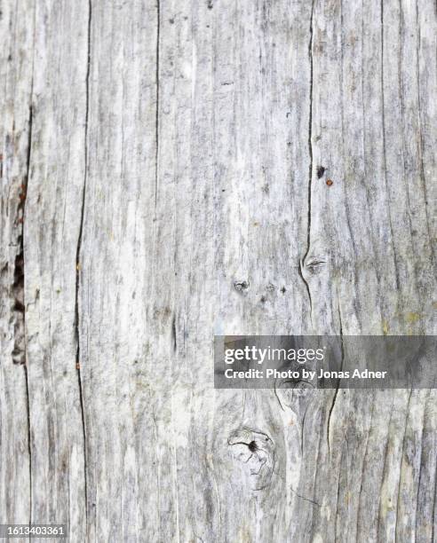 old wood texture background - driftwood stock pictures, royalty-free photos & images
