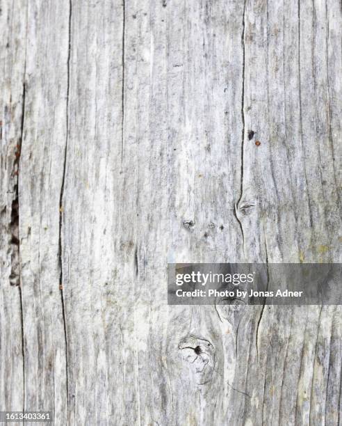old wood texture background - driftwood bildbanksfoton och bilder