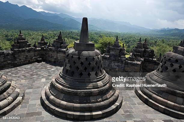 German Foreign Minister Guido Westerwelle visits the World Heritage listed Borobudur Temple Compounds, a 1200 year old buddhistic temple on February...