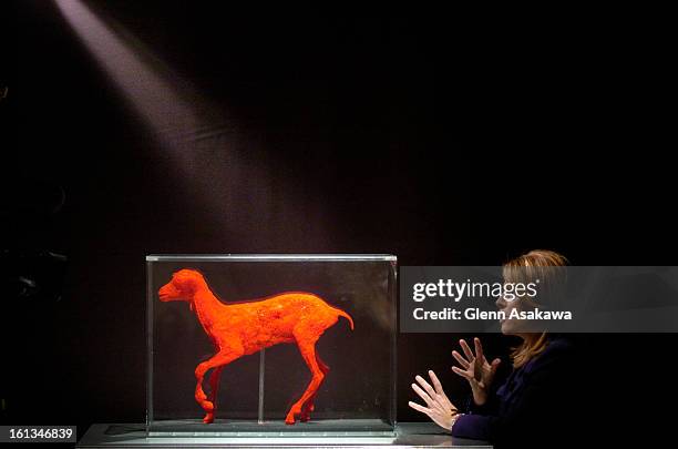 Dr. Stephanie Clements <cq> , 9News medical reporter, tapes part of her newscast next to a display featuring a lamb whose blood veins are capillaries...