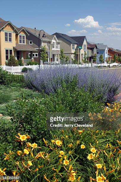 July 1, 2003 - REAL - A traffic circle is planted with colorful flowers on Piney River Drive High Plains Village at Centerra <cq> by McStain...
