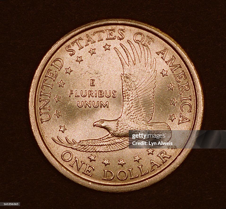 THE NEW $1.00 U.S. COIN FEATURING SACAGAWEA THIS IS THE BACK