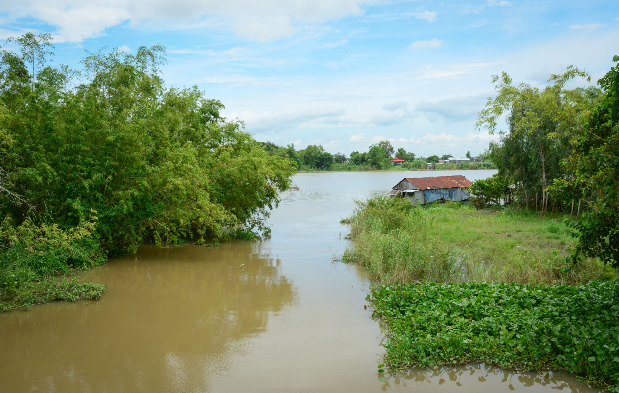 Landscape of Mekong River in Southern Vietnam Landscape of Mekong River in Southern Vietnam