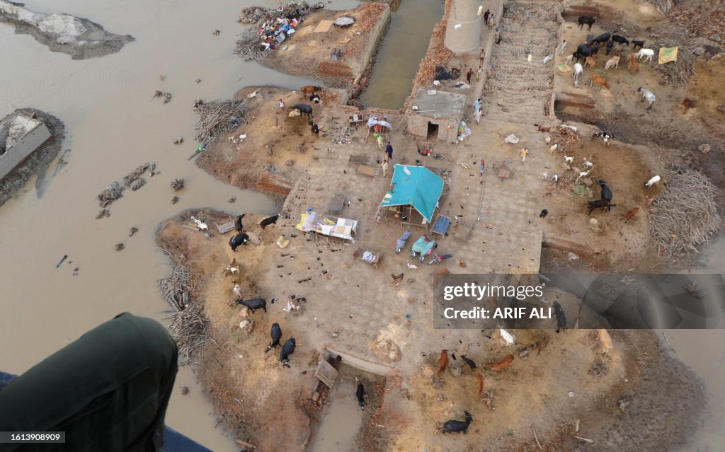 Disaster In Pakistan This aerial view from a Pakistan army rescue helicopter shows cattle ...