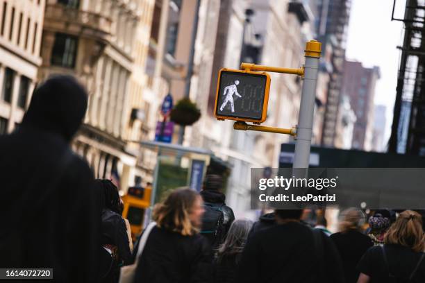 pedestrian xing in manhattan - walk signal stock pictures, royalty-free photos & images