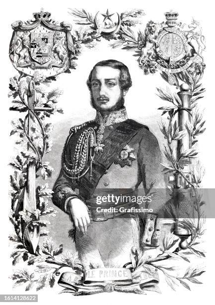 prince albert of saxe-coburg and gotha portrait 1855 - saxe coburg and gotha stock illustrations