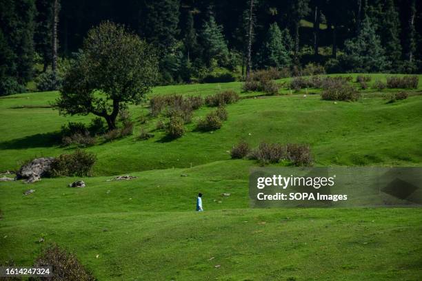 Budam 108 Khag Stock Photos, High-Res Pictures, and Images - Getty Images