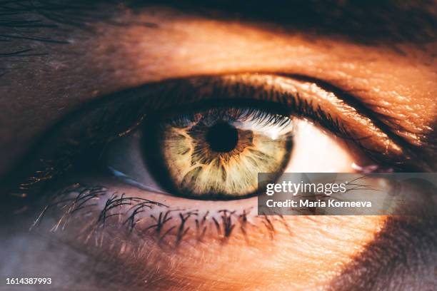 woman's eye. - mirar fijamente fotografías e imágenes de stock