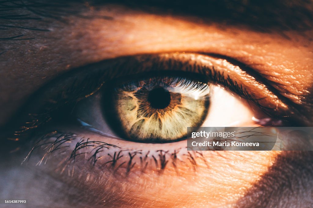 Woman's eye.