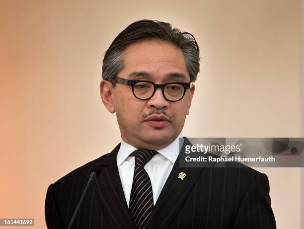 Indonesian Foreign Minister Marty Natalegawa gives a press conference after holding talks with his German counterpart Guido Westerwelle and his at...