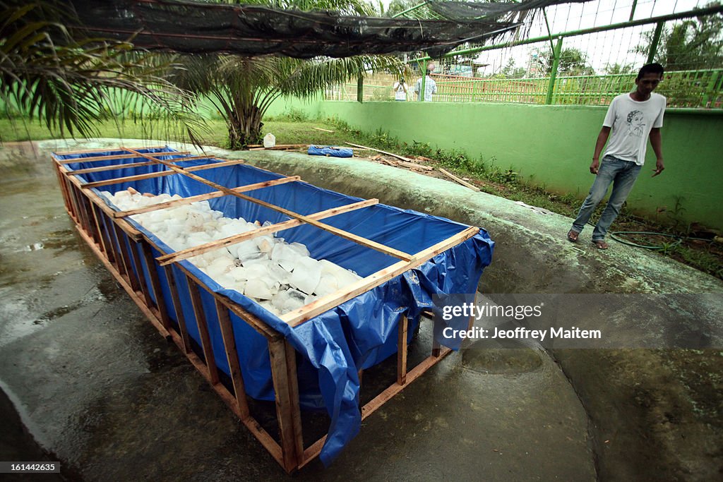 World's Largest Captive Crocodile Dies at Conservation Park