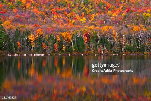 autumn forest mirrored in lake - groton stock pictures, royalty-free photos & images