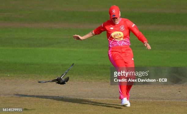 Alex Hartley of Welsh Fire Women chases away a pigeon from the square during The Hundred match between Welsh Fire Women and Trent Rockets Women at...