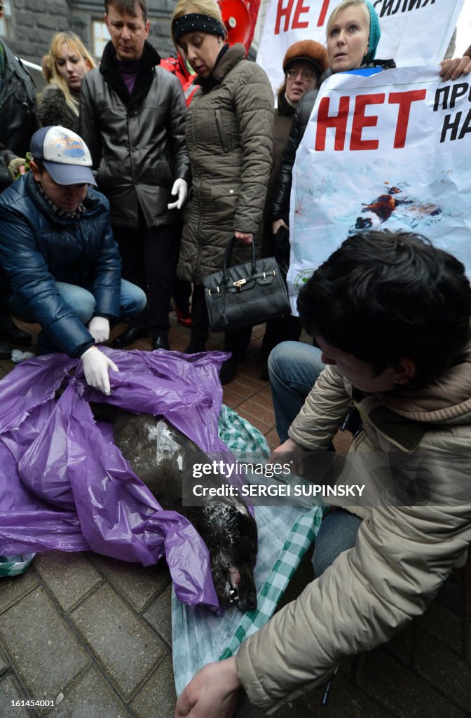 UKRAINE-ANIMALS-RIGHTS-DEMO