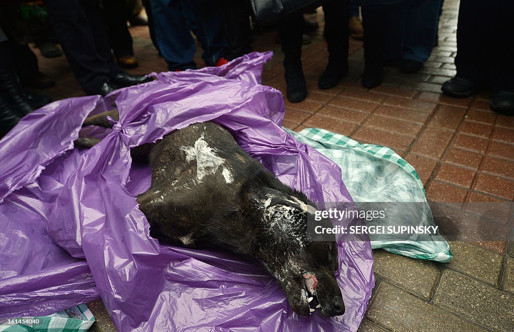 UKRAINE-ANIMALS-RIGHTS-DEMO