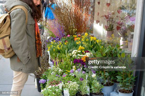 woman browsing in a small flower shop on a street in vienna - reusable shopping bag drawing stock-fotos und bilder