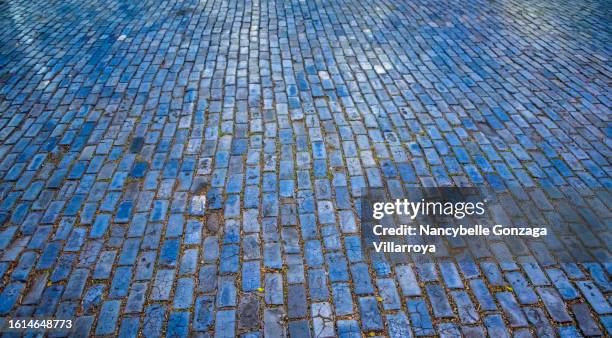 blue cobblestone road - città di san juan portorico foto e immagini stock