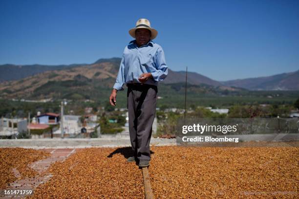 Hector Perez, a small batch coffee producer, stands on the roof where coffee is dried near Antigua, Guatemala, on Saturday, Feb. 9, 2013. The...