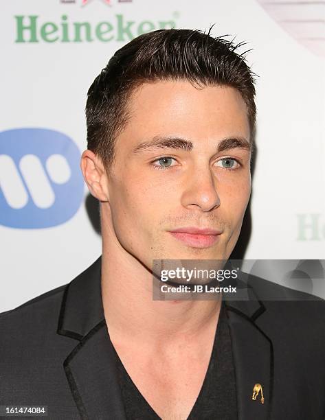 Colton Haynes attends the Warner Music Group 2013 Grammy Celebration Presented By Mini held at Chateau Marmont on February 10, 2013 in Los Angeles,...