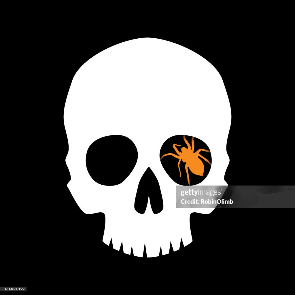 White Skull With Orange Spider In Eye Socket