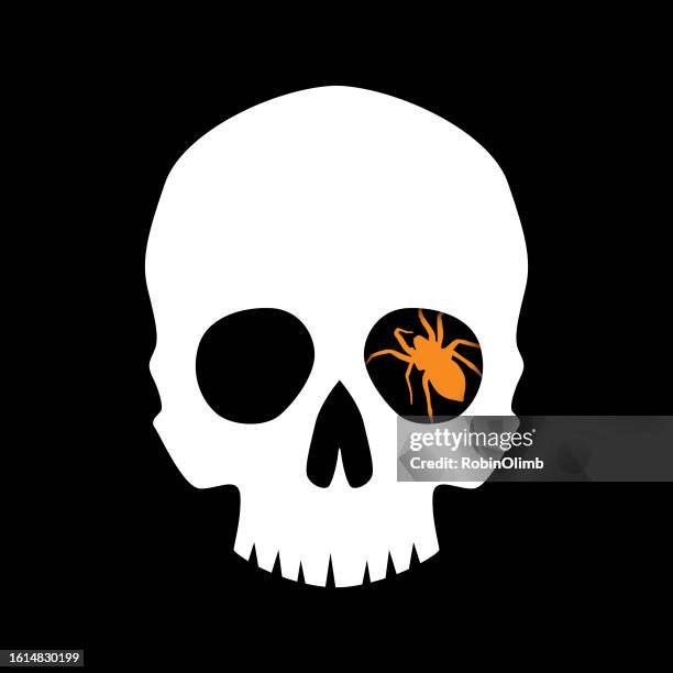 white skull with orange spider in eye socket - toxicodendron diversilobum stock illustrations