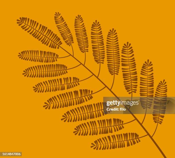 fern fall autumn plant - rainforest canopy stock illustrations
