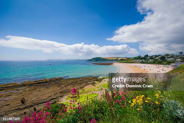 cornish summer beach - falmouth stock pictures, royalty-free photos & images