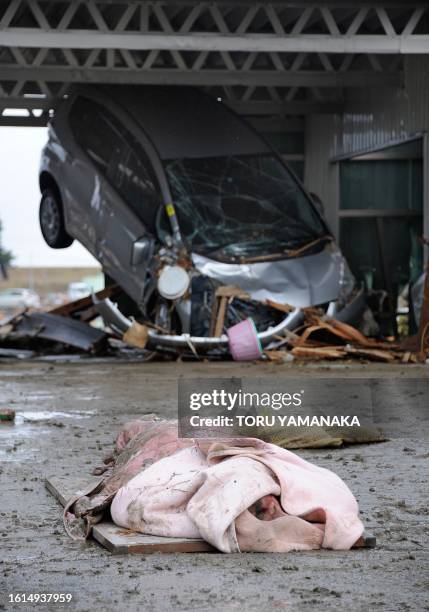 The body of a victim of the March 11 tsunami and earthquake found in a collapsed house lies wrapped up on the ground after being recovered in Natori...